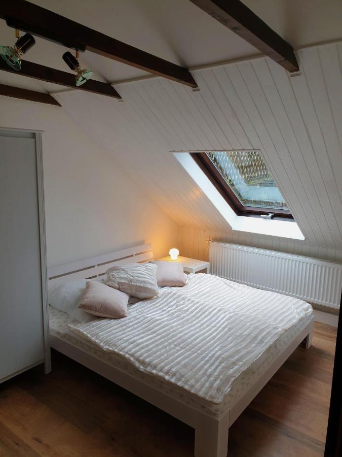 Saechsische-Schweiz-Ferienhaus-Wohnung-1-Mit-Elbblick-Sauna-Und-Kamin Königstein Exterior foto